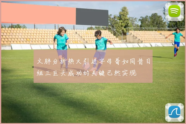文胖分析热火引进字母哥如同昔日组三巨头成功的关键已然实现